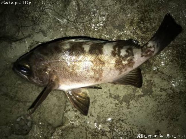 ��Х롢����