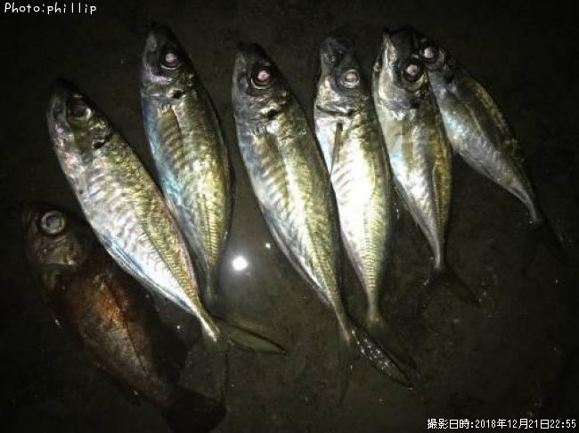 ��������Х�