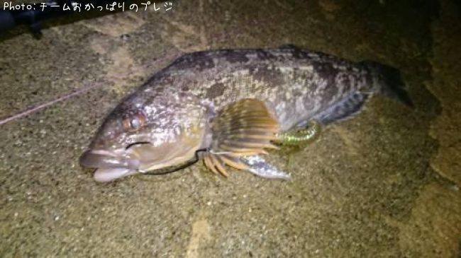 �����ʥ�