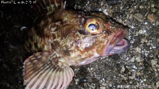 ����������㡥