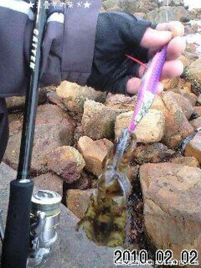 �����ꥤ��