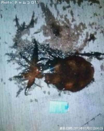 �����ꥤ��