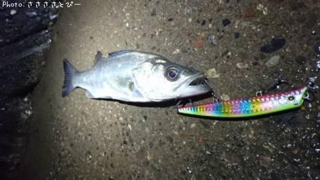 �����Х�