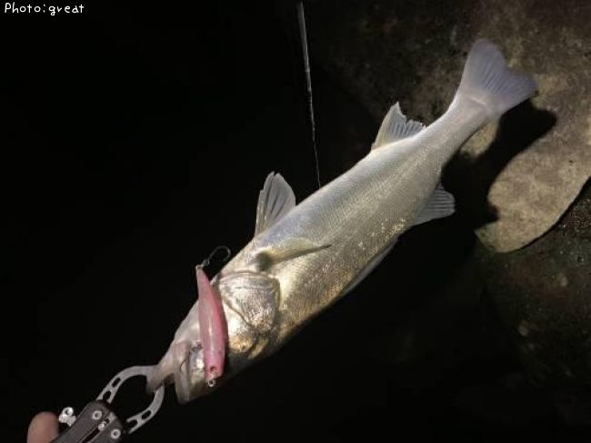 �����Х�