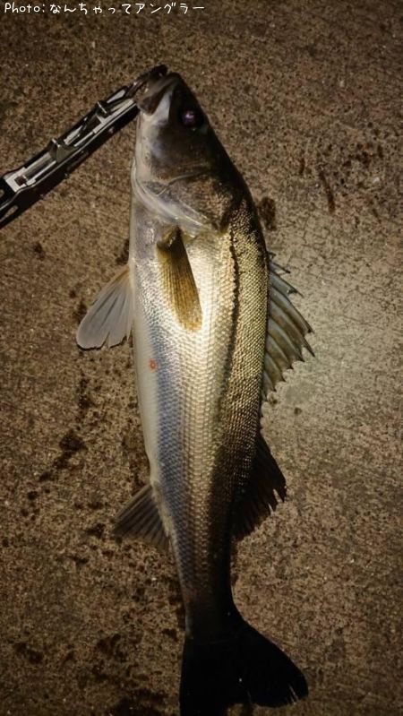 �����Х�