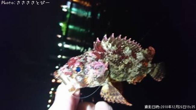 ��������Х�