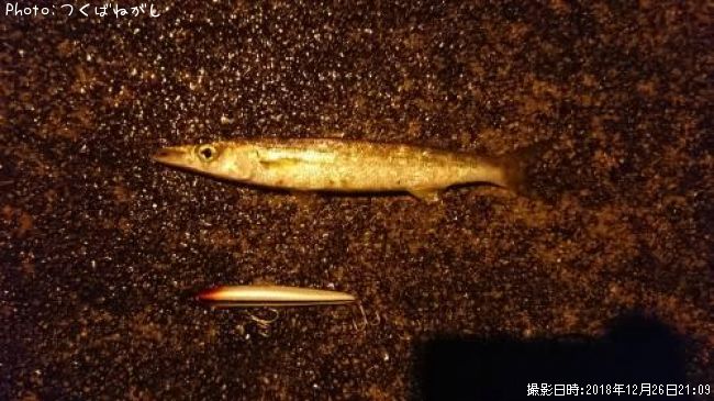 �������ޥ�