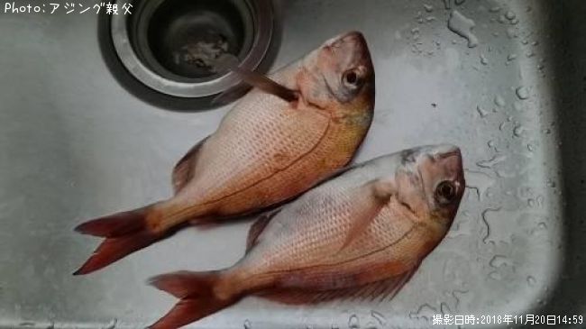 �ޥ���