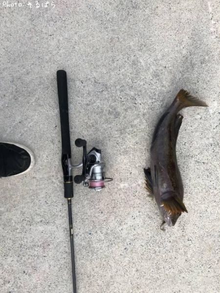 �����ʥ�