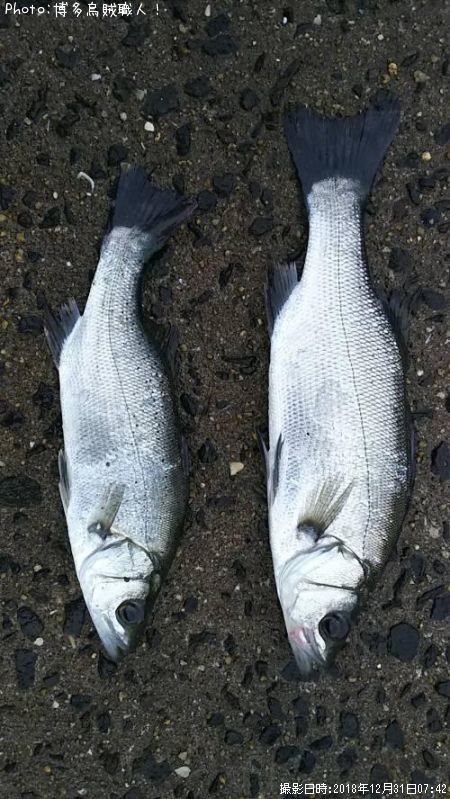 �ҥ饻����