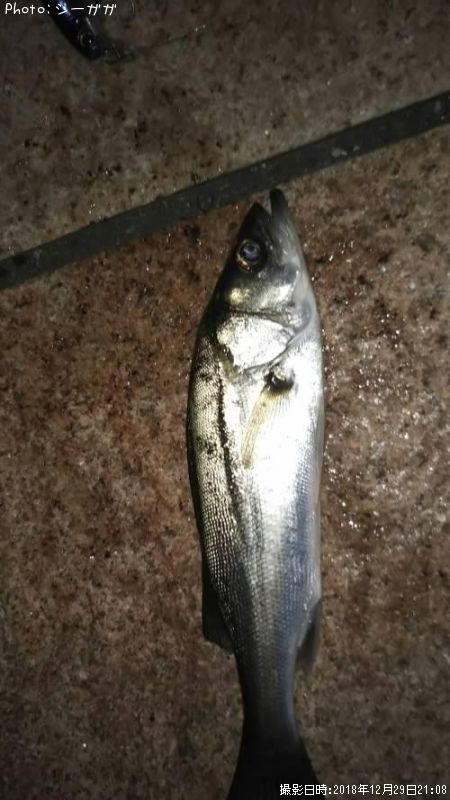 ������