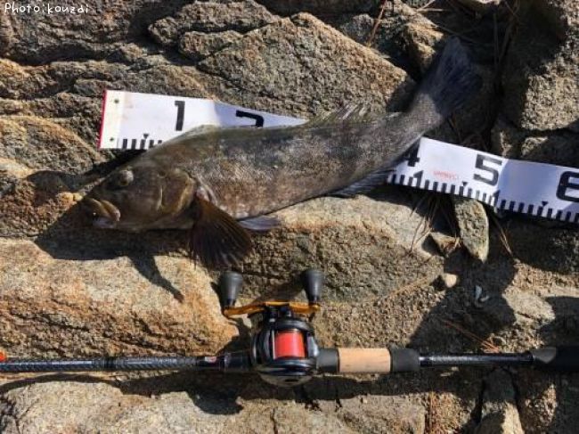 �����ʥ�