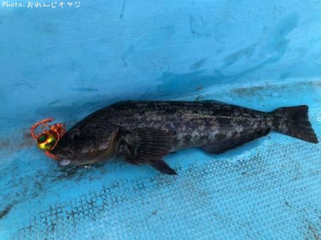 �����ʥ�