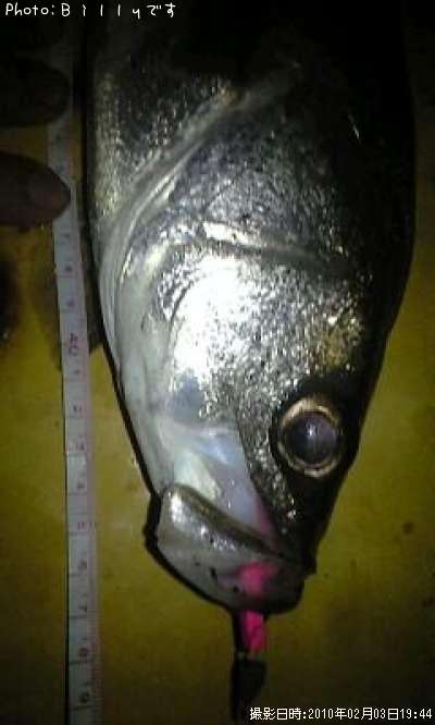 �����Х�