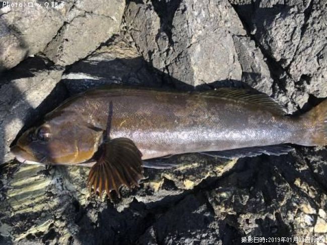 �����ʥ�