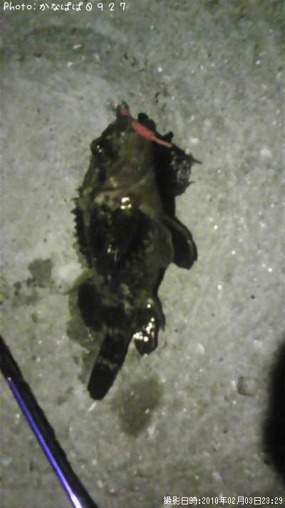 �����Υ���Х�