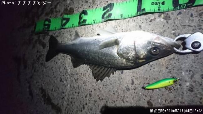 �����Х�����Х�