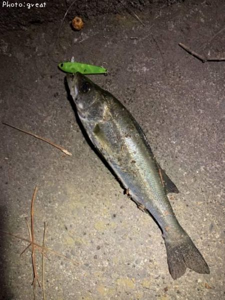 �����Х�