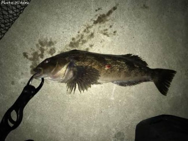 �����ʥ�