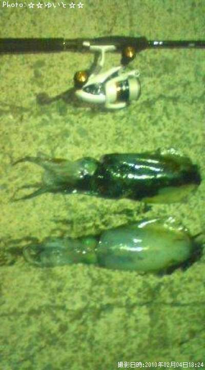 �����ꥤ��