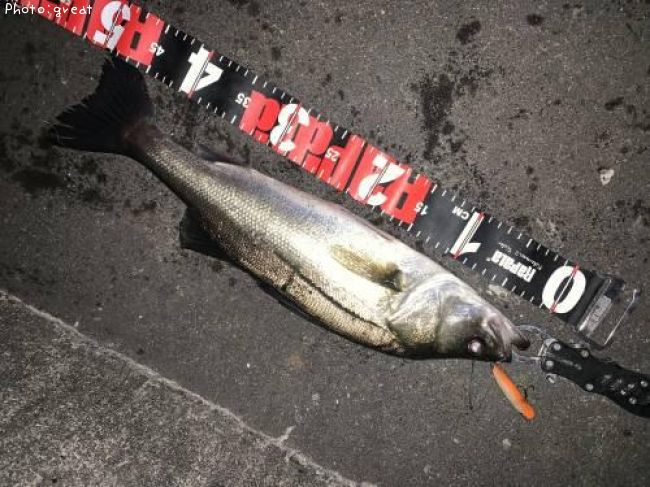 �����Х�