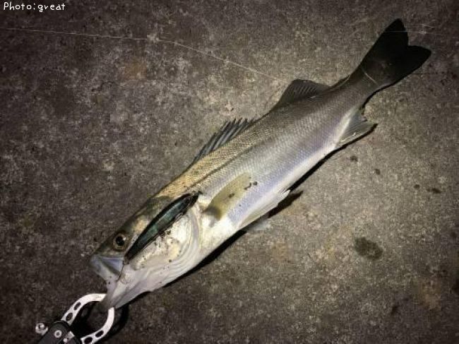 �����Х�