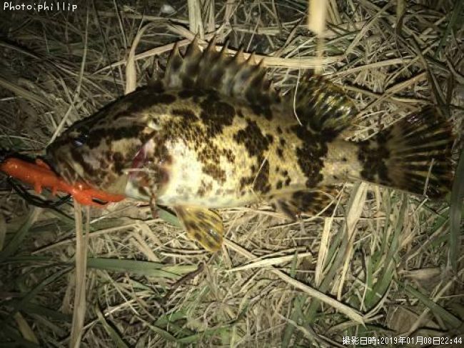 �����Υ���Х�