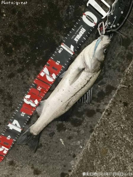 �����Х�