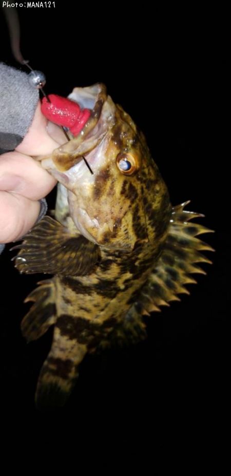 �٥å�������