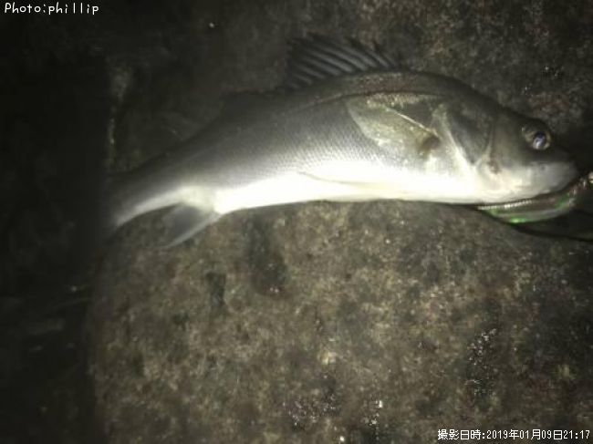 �����Х�