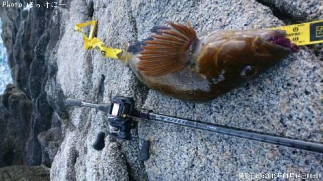 �����ʥ�