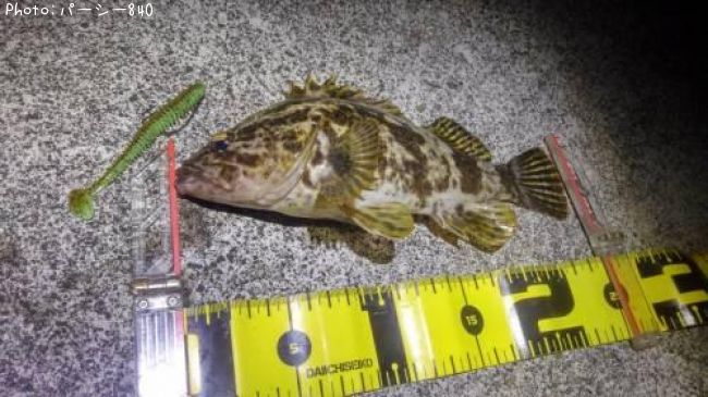 �����Υ���Х�