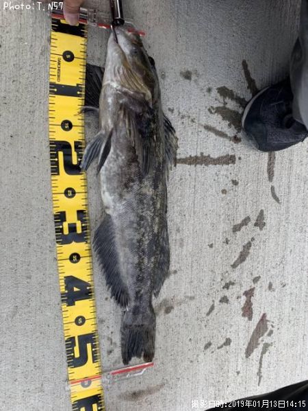 �����ʥ�