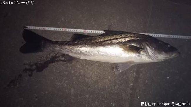 �����Х�