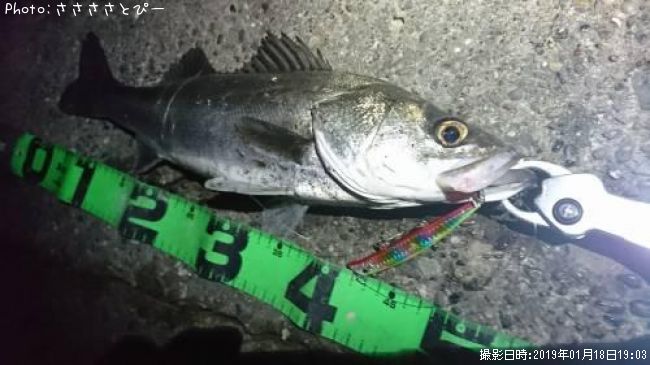 �����Х�