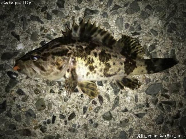 �����Υ���Х�