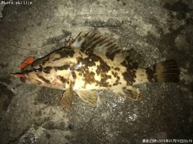 �����Υ���Х�