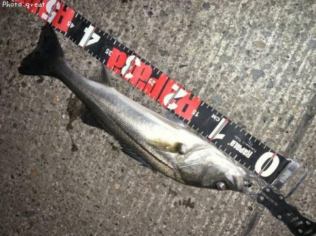 �����Х�