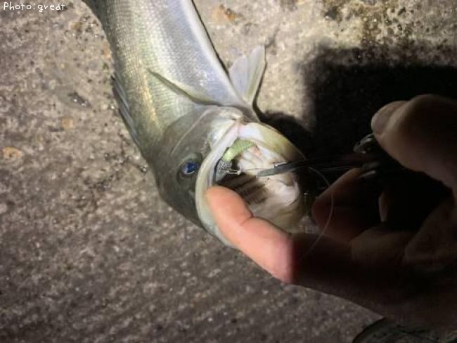 �����Х�