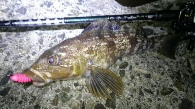 �����ʥ�