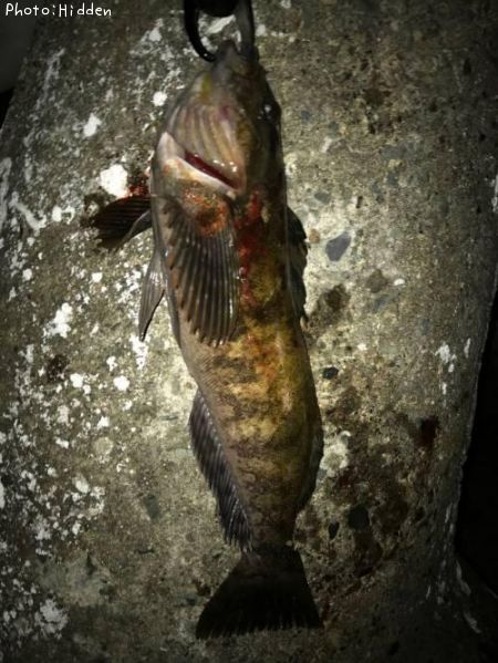 �����ʥ�