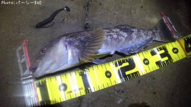 �����ʥ�