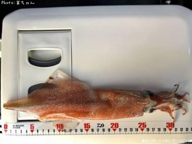 ��ꥤ����