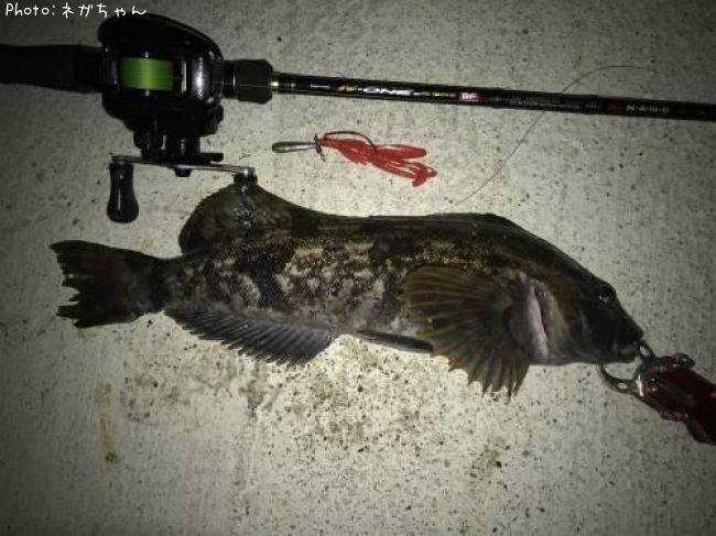 �����ʥ�