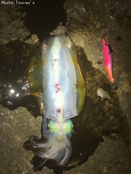 �����ꥤ��