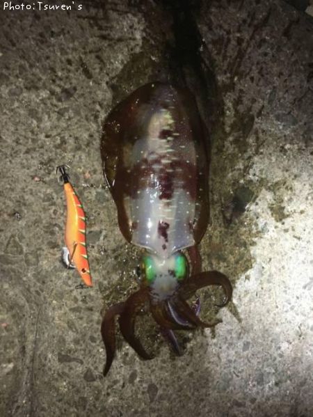 �����ꥤ��