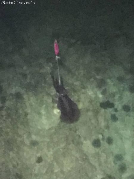 �����ꥤ��