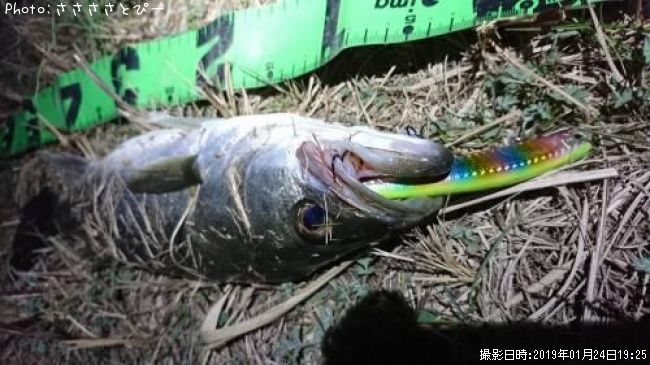 �����Х�