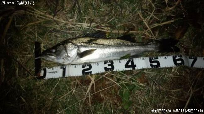 �����Х�