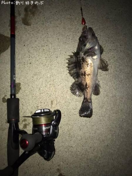 �����Υ���Х�